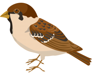 Sparrow PNG-20149